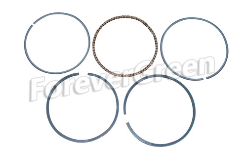 PE070 Piston Ring Assy 59mm